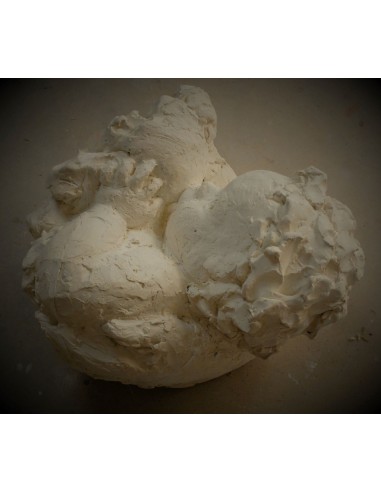 The milk of human tenderness