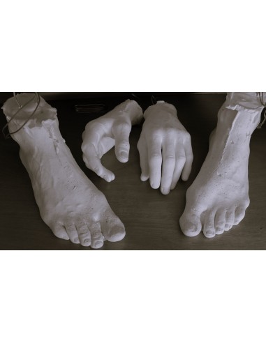 SCULPTURE PAS Á PAS - Cours à l'année