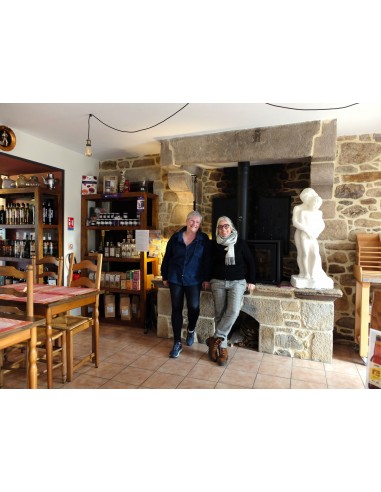 copy of Introduction into art on Saturdays