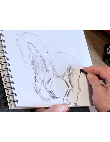 Introduction into art on Saturdays