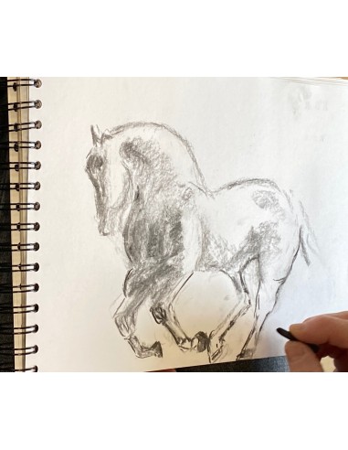 Introduction into art on Saturdays