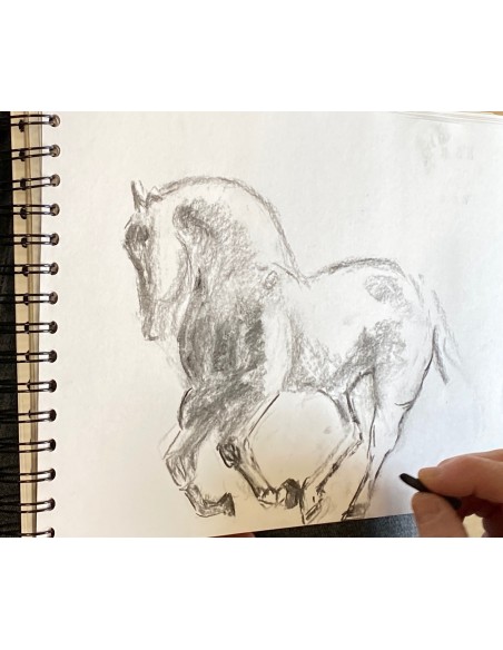 Introduction into art on Saturdays