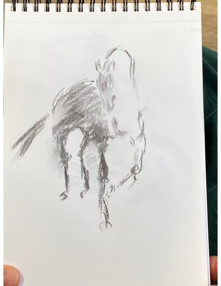 Introduction into art on Saturdays