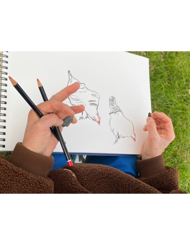 SCULPTURE PAS Á PAS - Cours à l'année
