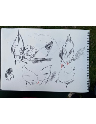 Introduction into art on Saturdays