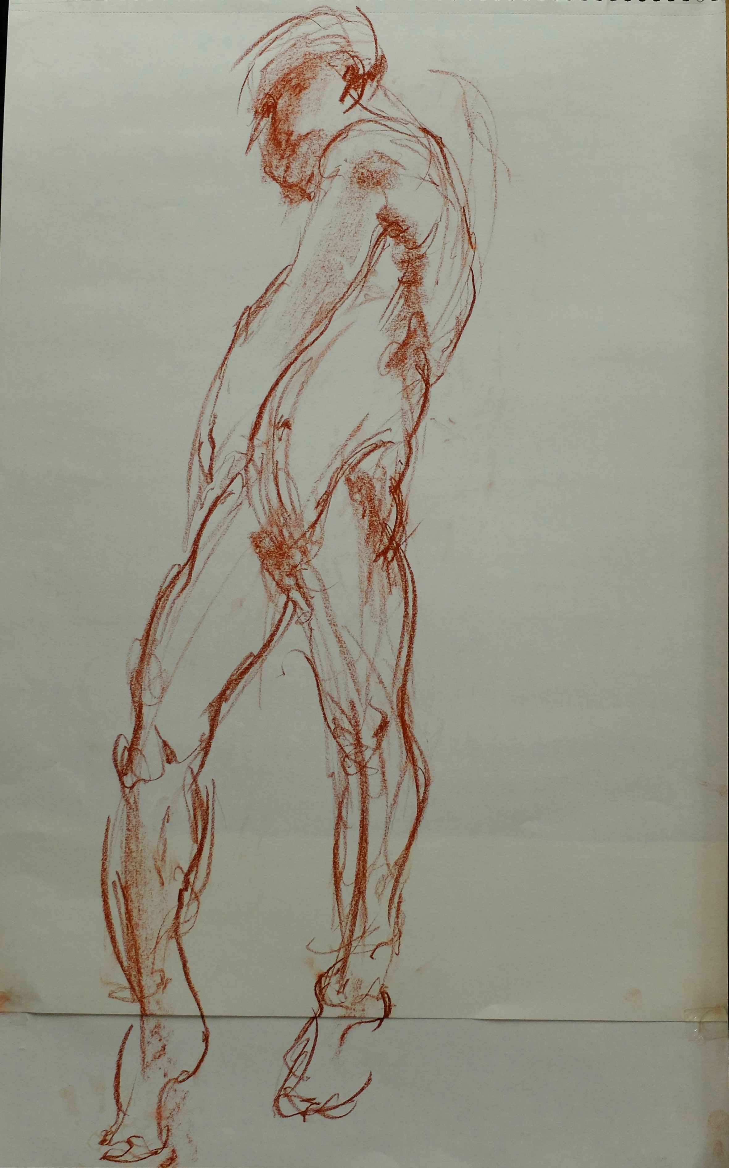 Dessin de nu par Mara Dominioni