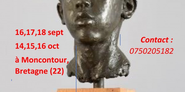 Stage Sculpture | Niveau Expérimenté | Septembre 2022